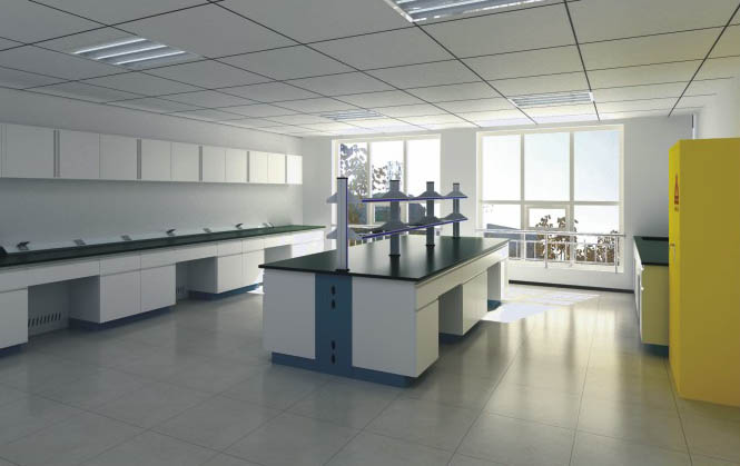 新疆美順達(dá)全鋼實(shí)驗(yàn)臺案例展示5